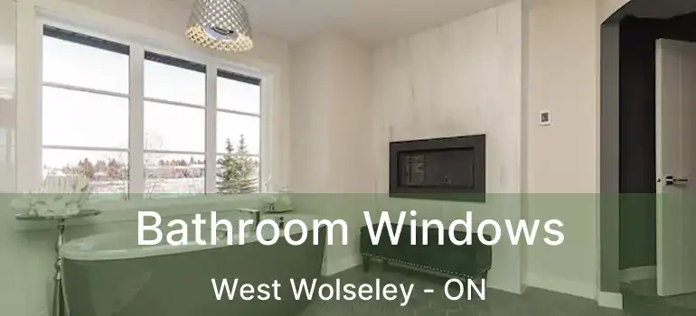  Bathroom Windows West Wolseley - ON