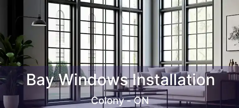  Bay Windows Installation Colony - ON