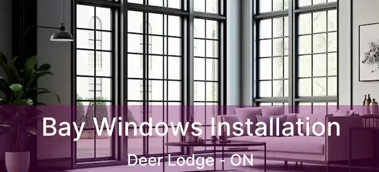  Bay Windows Installation Deer Lodge - ON