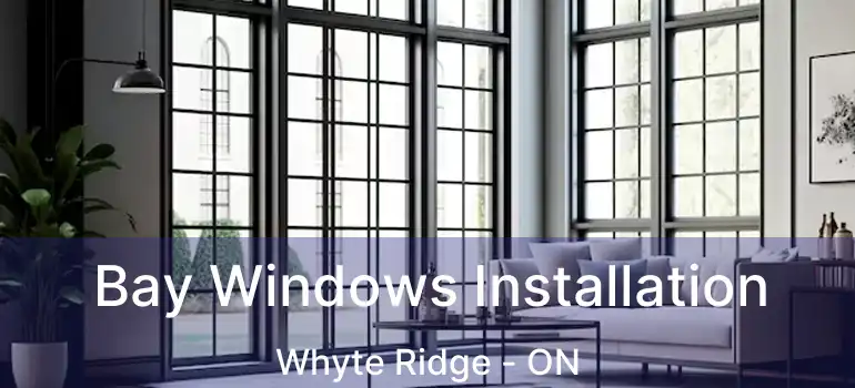  Bay Windows Installation Whyte Ridge - ON