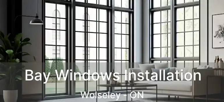  Bay Windows Installation Wolseley - ON
