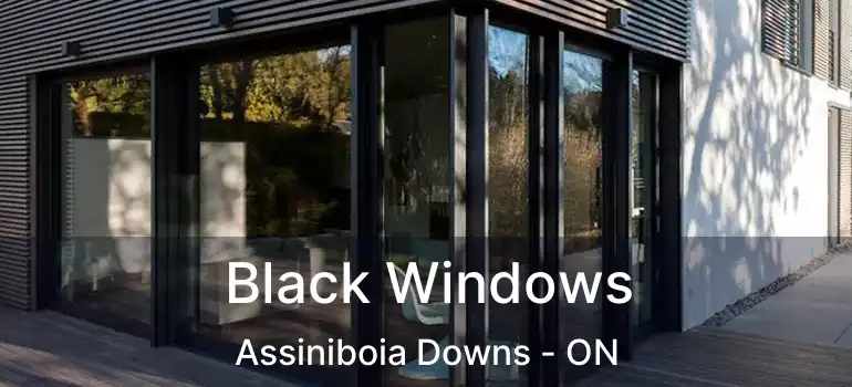  Black Windows Assiniboia Downs - ON