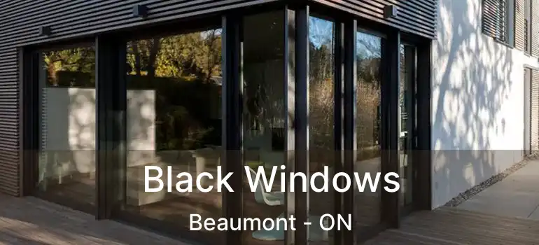  Black Windows Beaumont - ON