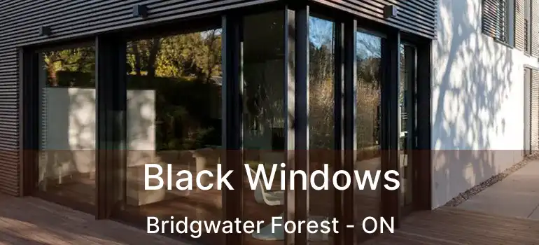  Black Windows Bridgwater Forest - ON