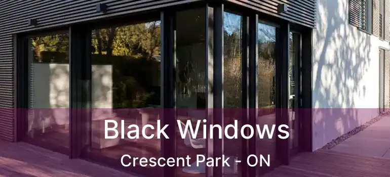  Black Windows Crescent Park - ON