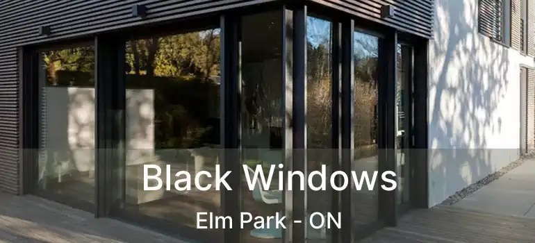  Black Windows Elm Park - ON