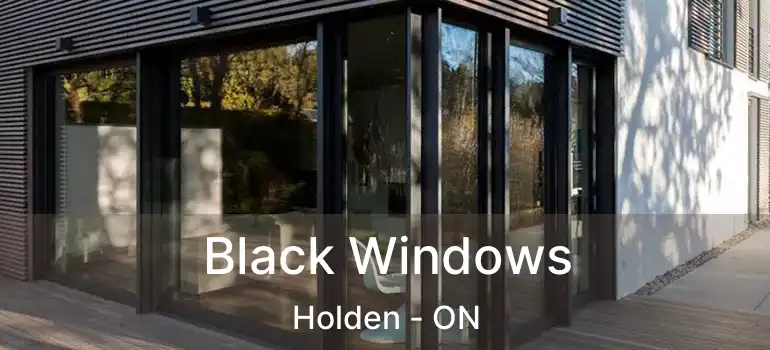  Black Windows Holden - ON