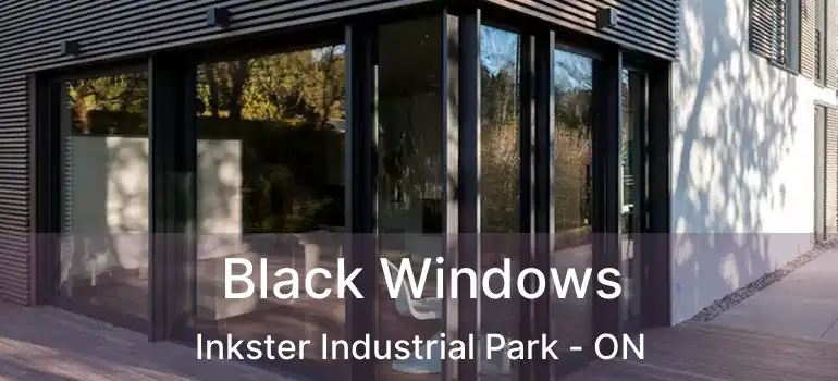  Black Windows Inkster Industrial Park - ON