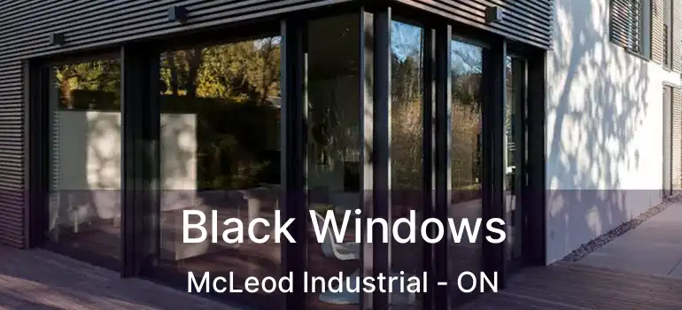  Black Windows McLeod Industrial - ON
