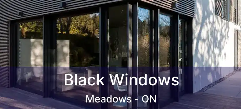 Black Windows Meadows - ON