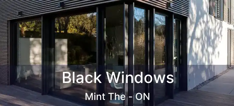  Black Windows Mint The - ON