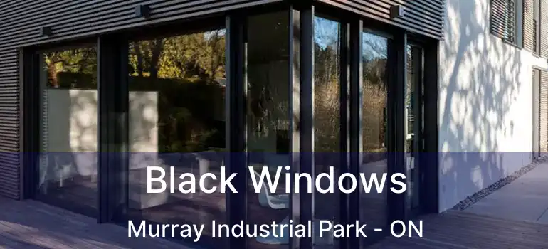  Black Windows Murray Industrial Park - ON