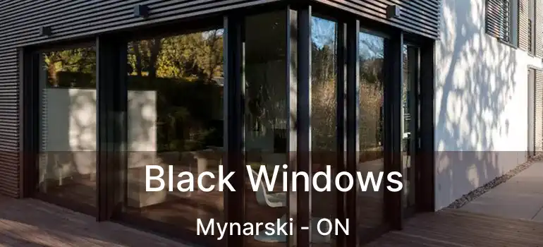  Black Windows Mynarski - ON