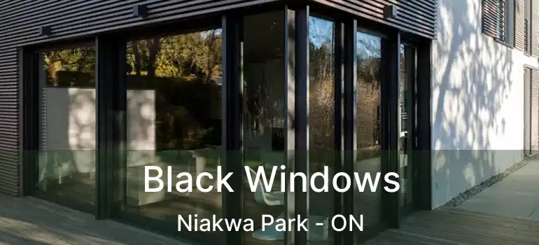  Black Windows Niakwa Park - ON