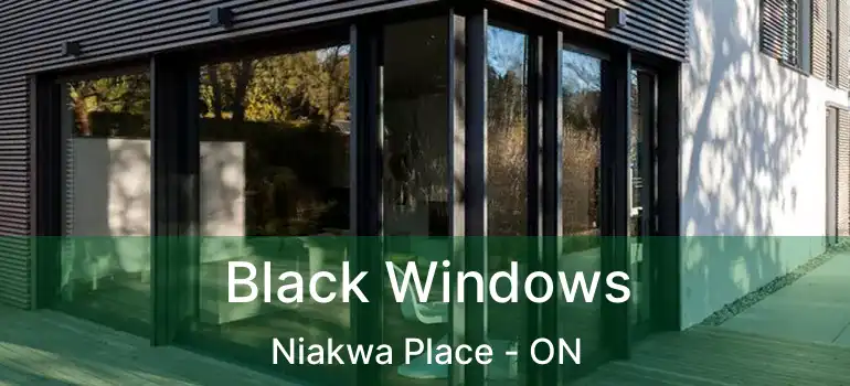  Black Windows Niakwa Place - ON