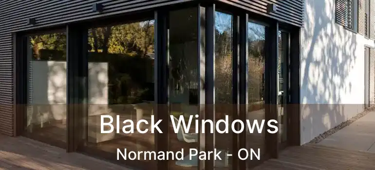  Black Windows Normand Park - ON