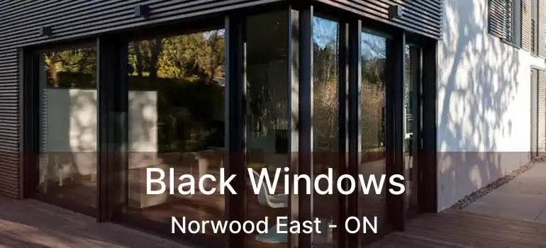  Black Windows Norwood East - ON