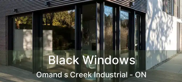  Black Windows Omand s Creek Industrial - ON