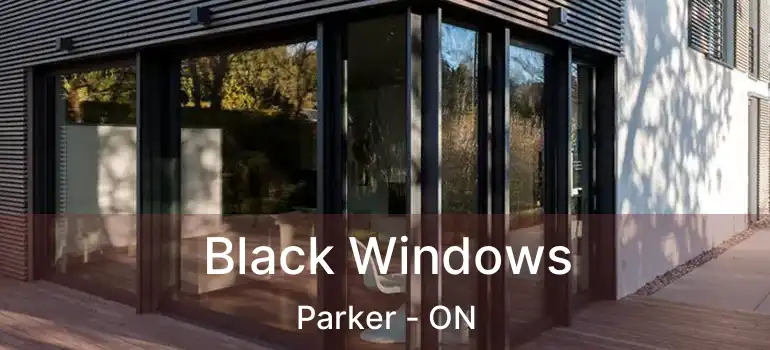  Black Windows Parker - ON