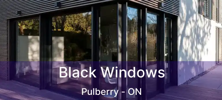  Black Windows Pulberry - ON
