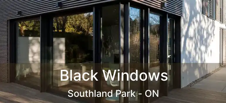  Black Windows Southland Park - ON