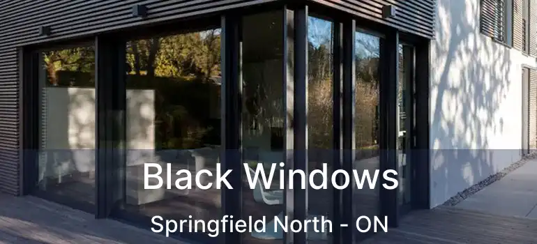  Black Windows Springfield North - ON