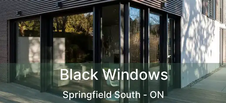  Black Windows Springfield South - ON
