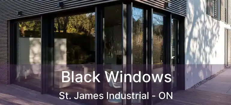  Black Windows St. James Industrial - ON