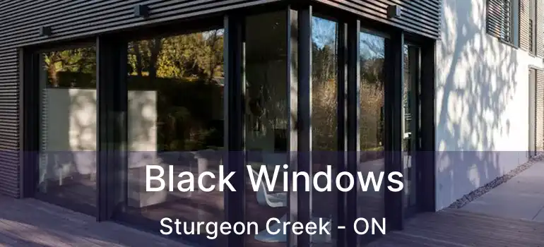  Black Windows Sturgeon Creek - ON