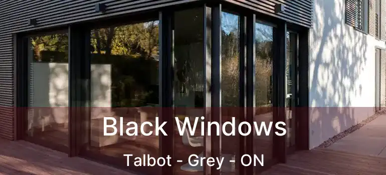  Black Windows Talbot - Grey - ON
