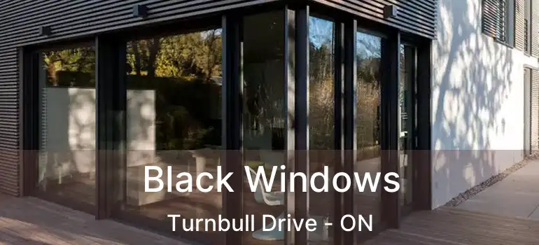  Black Windows Turnbull Drive - ON