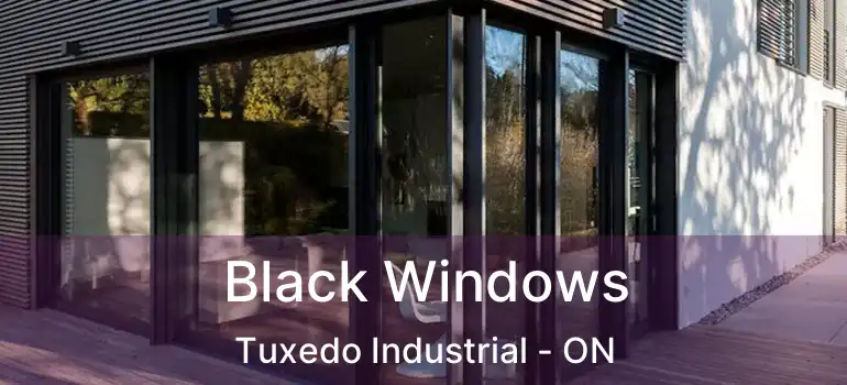  Black Windows Tuxedo Industrial - ON
