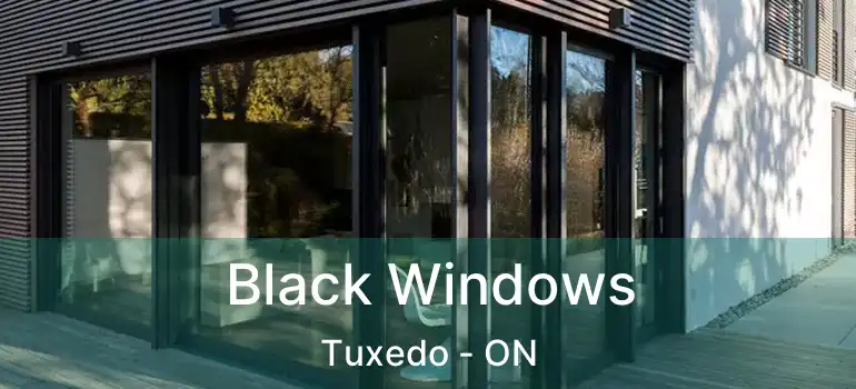  Black Windows Tuxedo - ON