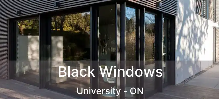 Black Windows University - ON