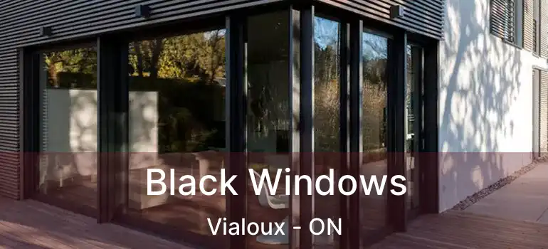  Black Windows Vialoux - ON