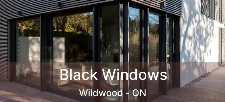  Black Windows Wildwood - ON