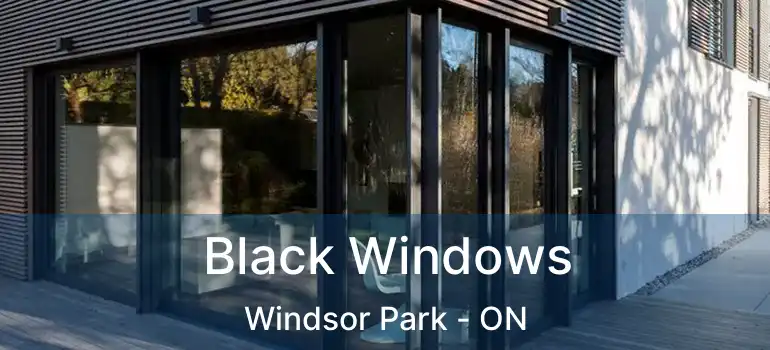  Black Windows Windsor Park - ON