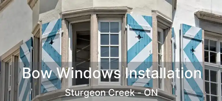  Bow Windows Installation Sturgeon Creek - ON