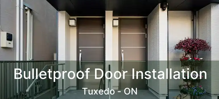  Bulletproof Door Installation Tuxedo - ON