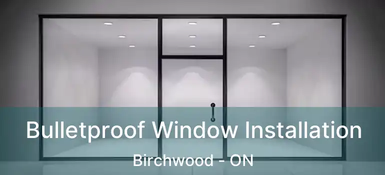  Bulletproof Window Installation Birchwood - ON