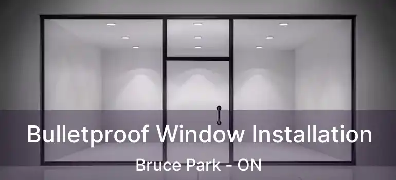  Bulletproof Window Installation Bruce Park - ON