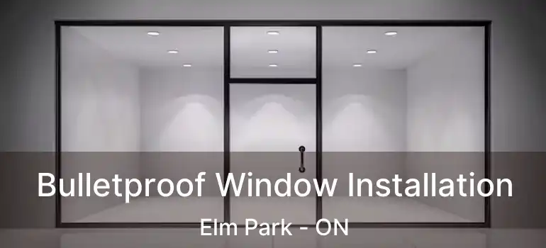 Bulletproof Window Installation Elm Park - ON