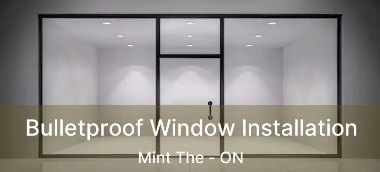  Bulletproof Window Installation Mint The - ON