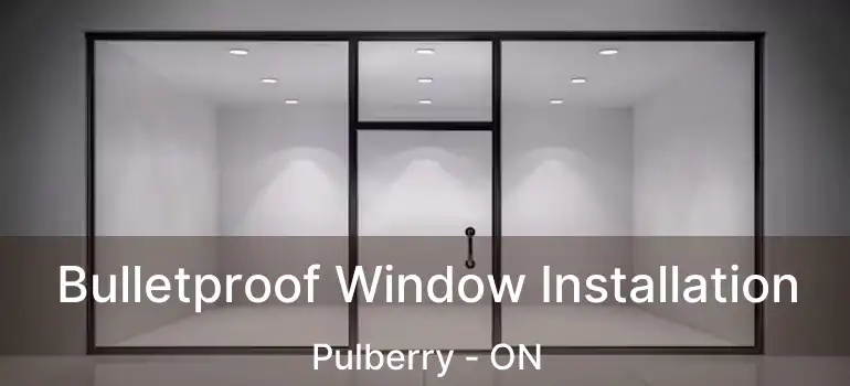  Bulletproof Window Installation Pulberry - ON
