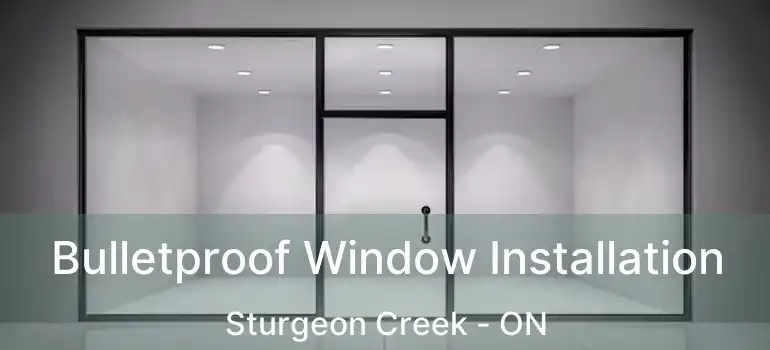  Bulletproof Window Installation Sturgeon Creek - ON