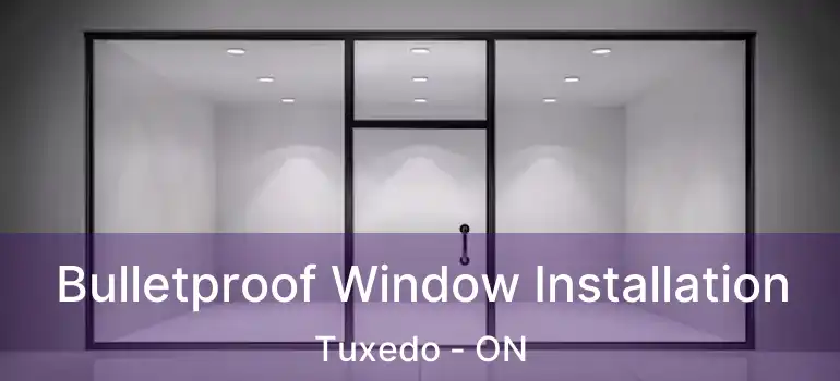  Bulletproof Window Installation Tuxedo - ON