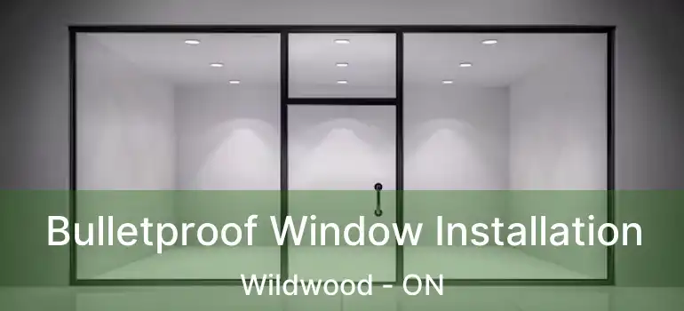  Bulletproof Window Installation Wildwood - ON