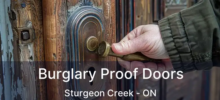  Burglary Proof Doors Sturgeon Creek - ON