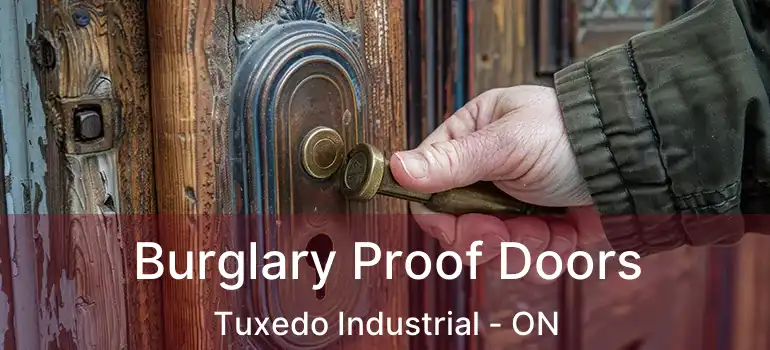  Burglary Proof Doors Tuxedo Industrial - ON