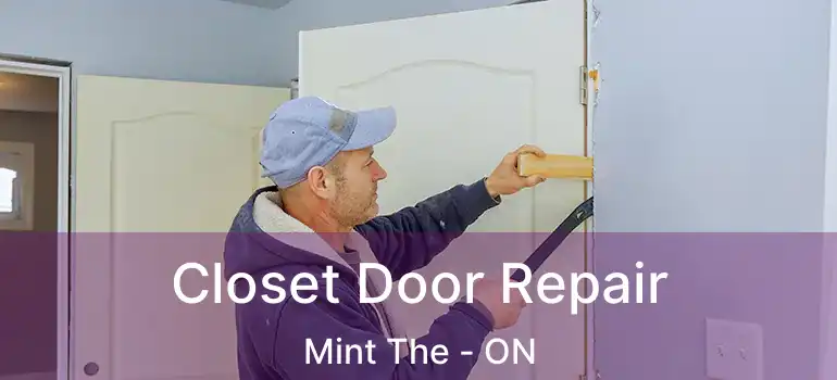  Closet Door Repair Mint The - ON